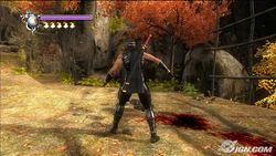 忍者龙剑传 忍者龙剑传