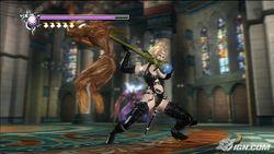 忍者龙剑传 忍者龙剑传