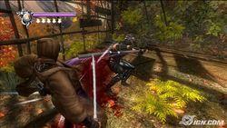 忍者龙剑传 忍者龙剑传