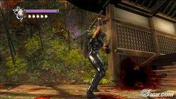 忍者龙剑传 忍者龙剑传