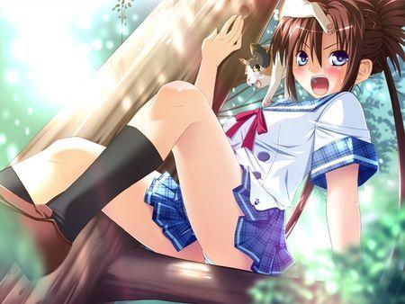 galgame