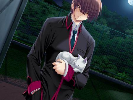 galgame