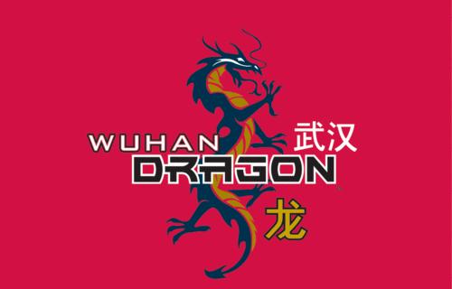 武汉龙队