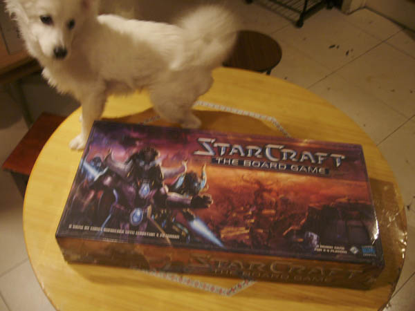 拆箱-中国博客网