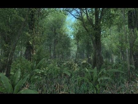 Crysis
