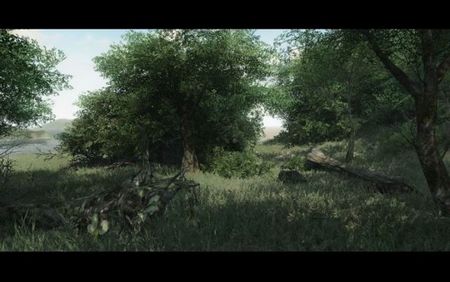 Crysis