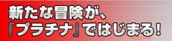口袋妖怪 白金