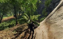 crysis
