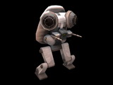 孢子 spore