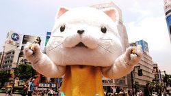 428 涉谷封锁 428 涉谷封锁