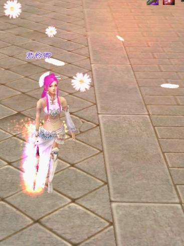 80级,花落满地思春意,奈何花难解卿情