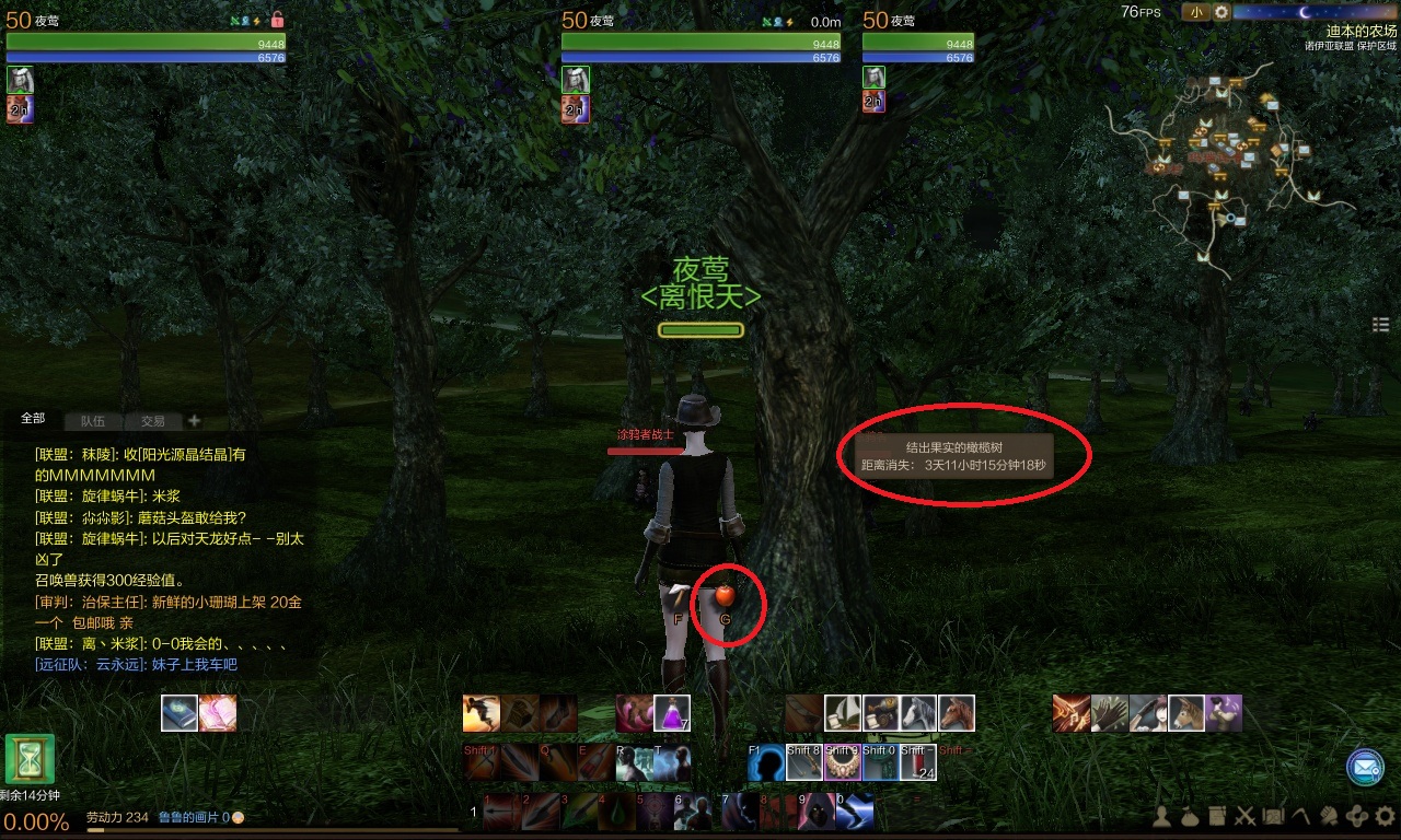 不用做小偷了 西大陆两处可随意摘果实的NPC果园 