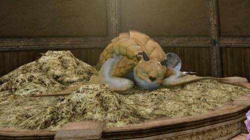 国王专属坐骑!上古炽焰飞龙培养教程