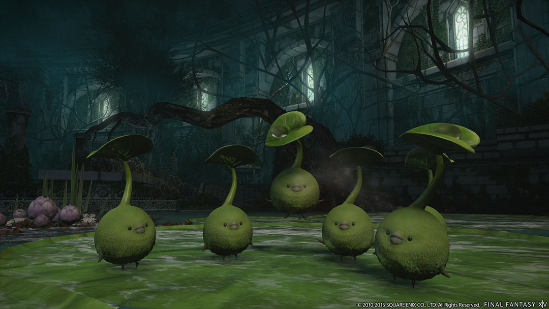 FF14新版本草木庭院圣茉夏娜植物园介绍