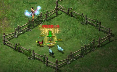 如何成为赌神!《魔侠传》斗鸡攻略大曝光! 如何成为赌神!《魔侠传》斗鸡攻略大曝光!