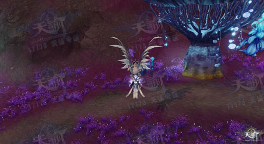 天谕神秘商人坐标图文解析 兑换物品必备 天谕神秘商人坐标图文解析 兑换物品必备