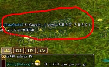 注意素质和节操!天龙美服屡现天朝玩家刷频骂人