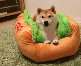 权力与荣耀攻略 系统玩法介绍之军衔提升