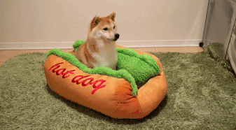 权力与荣耀攻略 系统玩法介绍之装备系统