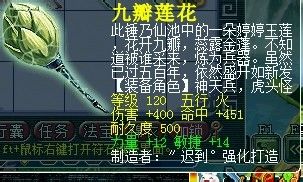 来到熟悉长寿桥 大波军火鉴定