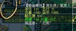 来到熟悉长寿桥 大波军火鉴定