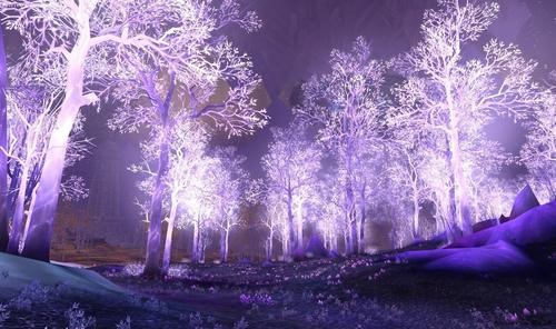 《魔兽世界：巫妖王之怒》中高端显卡性能实测 