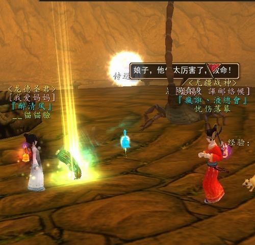 回眸寻仙 2009——BOSS篇(二)