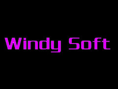 ����WindySoft��˾