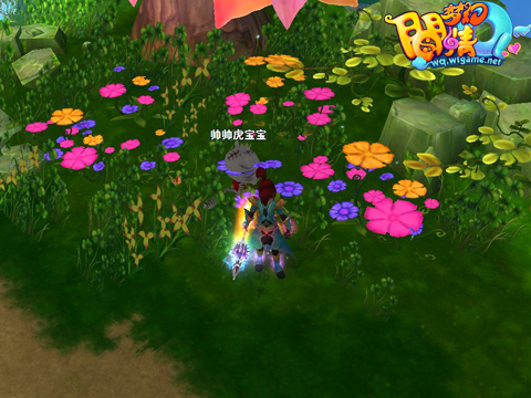 {{keywords}}最新图片