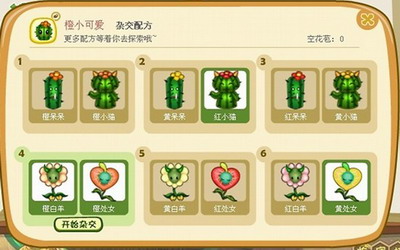 白社会最新图片