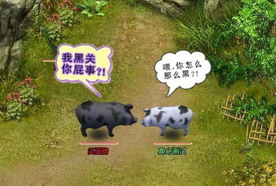 真命最新图片