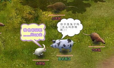 真命最新图片