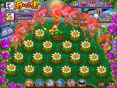 开心果最新图片