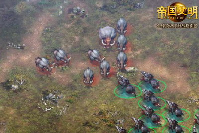 最新图片