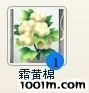 梦境家园最新图片