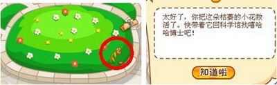 最新图片