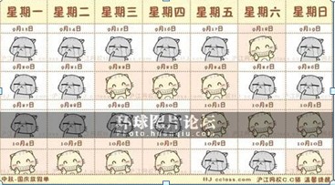 奇想咕噜团最新图片
