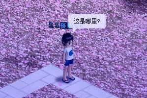 第6大陆最新图片