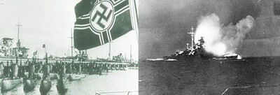 海狼最新图片