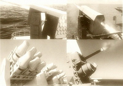 海狼最新图片