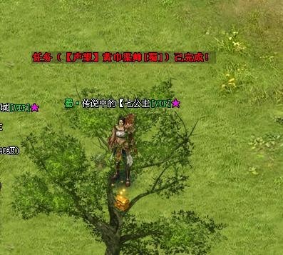 战将传奇最新图片