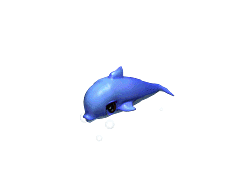海豚-攻击1（2）.gif