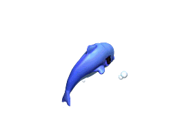 海豚-攻击2（4）.gif
