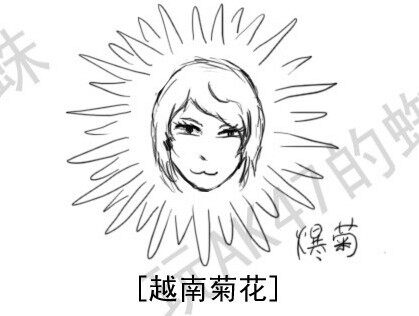 【蜘蛛系列漫画】第三集：奇怪的ID