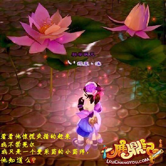 《鹿鼎记》玩家心情图文 女生版错过