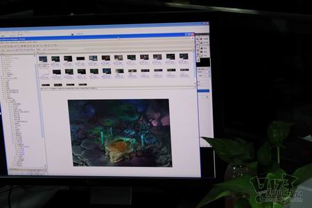 {{keywords}}盛大研发