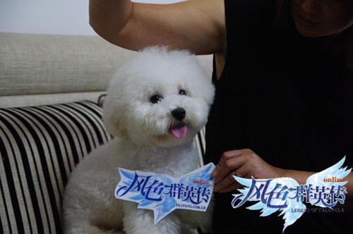 {{keywords}}最新图片