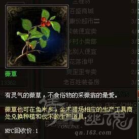 倩女幽魂新手指南 各类名词以及灵兽知识汇总