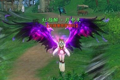 翅膀.jpg