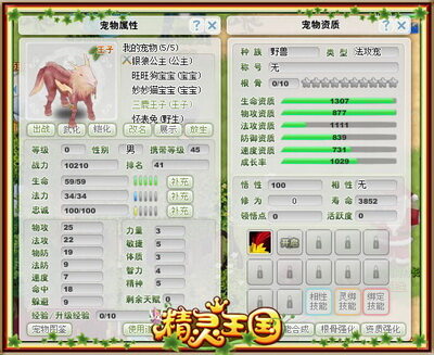 精灵王国最新图片